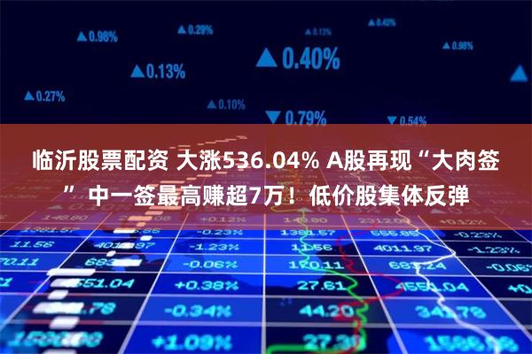 临沂股票配资 大涨536.04% A股再现“大肉签” 中一签最高赚超7万！低价股集体反弹