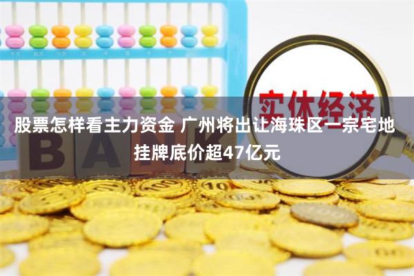 股票怎样看主力资金 广州将出让海珠区一宗宅地 挂牌底价超47亿元