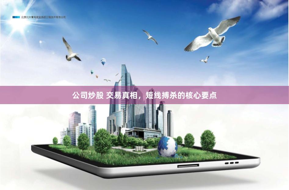 公司炒股 交易真相，短线搏杀的核心要点