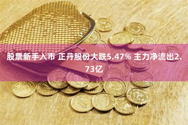 股票新手入市 正丹股份大跌5.47% 主力净流出2.73亿